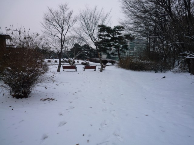 f0022370_50cea657b8dcf