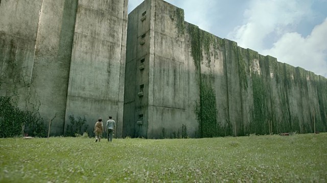 themazerunner01