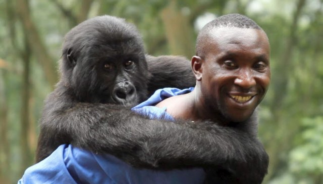 virunga01