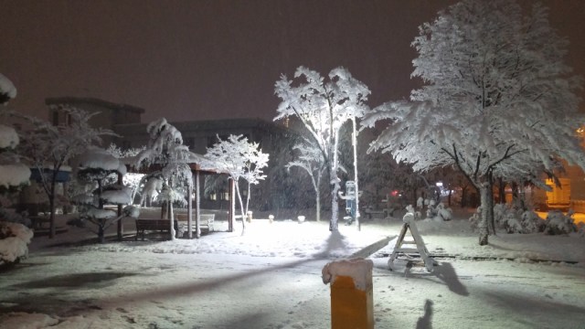 small_20151126_205554