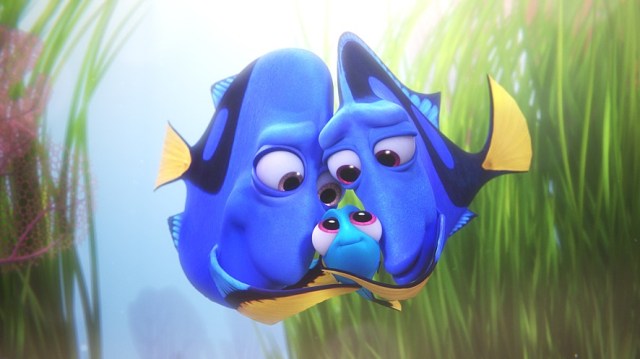 findingdory04