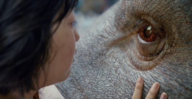 okja01