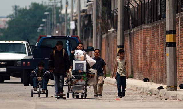 tigersarenotafraid01