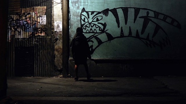 tigersarenotafraid02