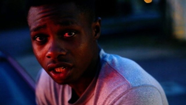 halecountrythismorningthisevening05